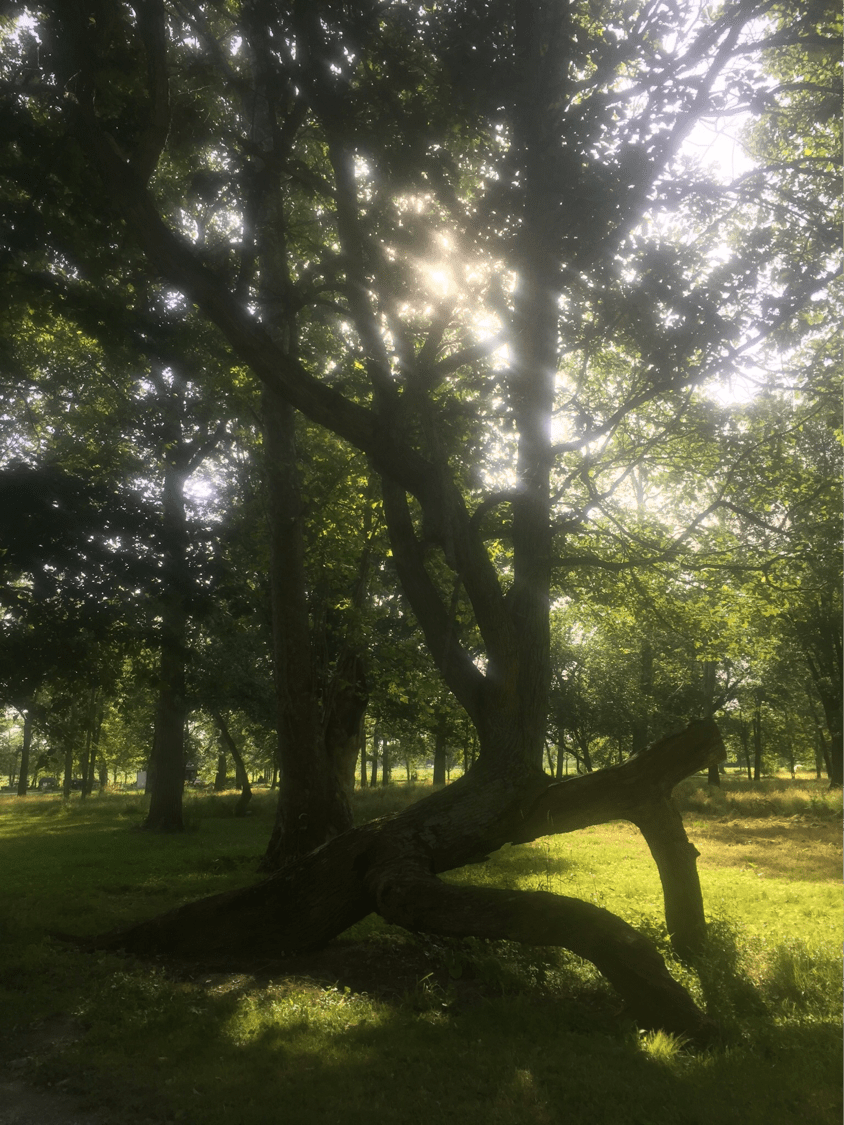Riverbend campground